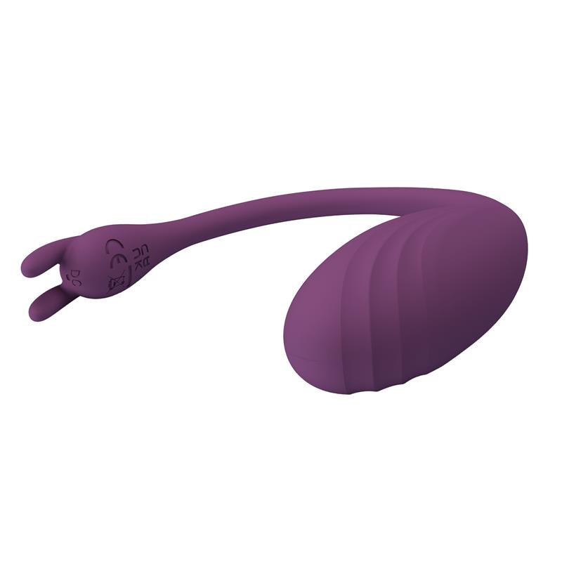 Catalina Vibrating Egg with APP Purple