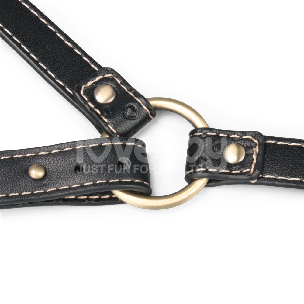 REBELLION REIGN FULL BODY HARNESS