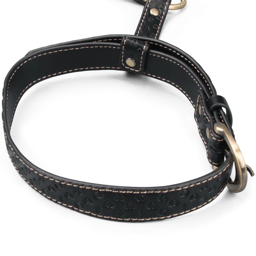 REBELLION REIGN FULL BODY HARNESS