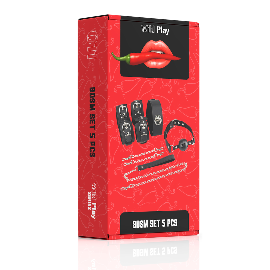 BDSM SET WITH 5 PRODUCTS EROSPACE WILD PLAY C11