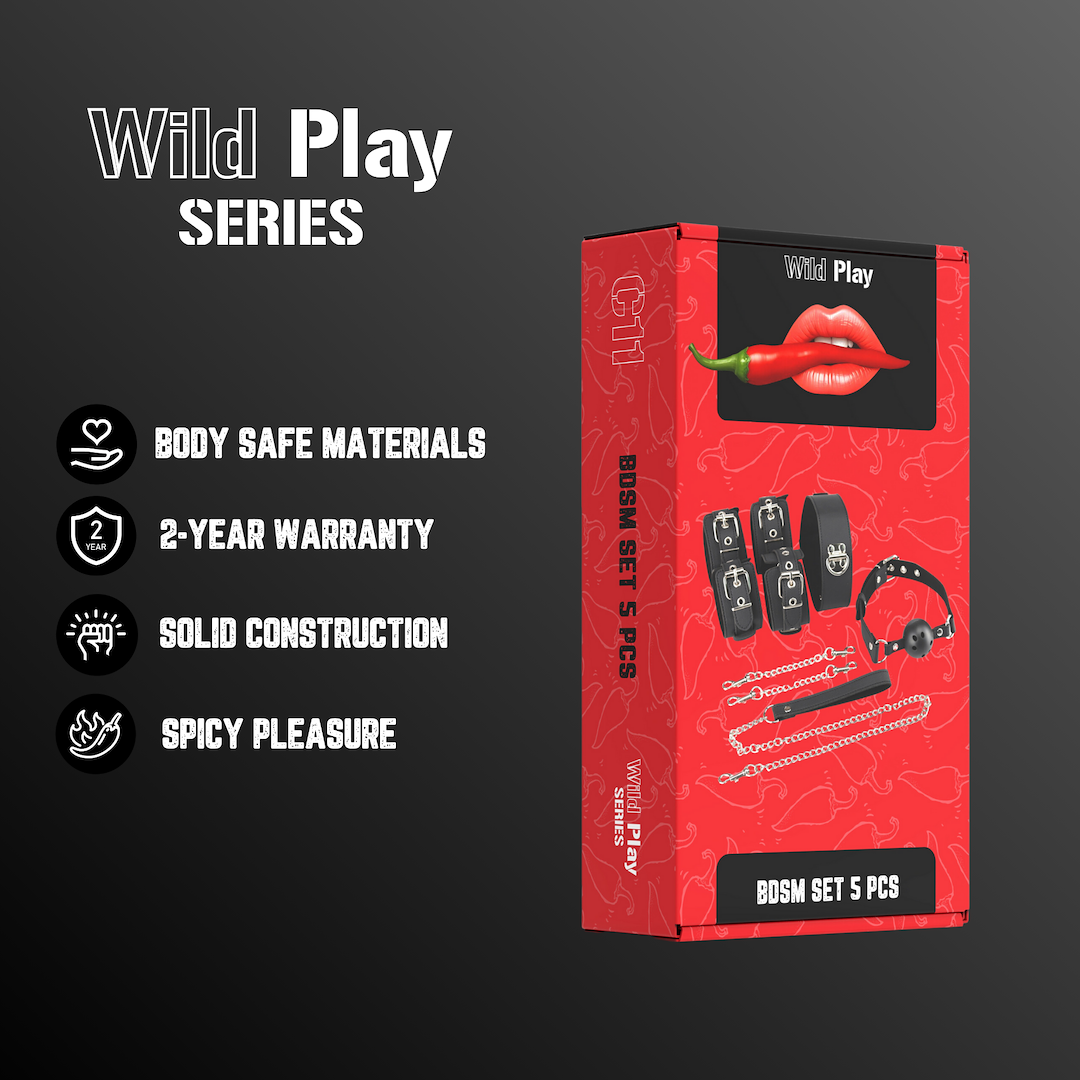 BDSM SET WITH 5 PRODUCTS EROSPACE WILD PLAY C11