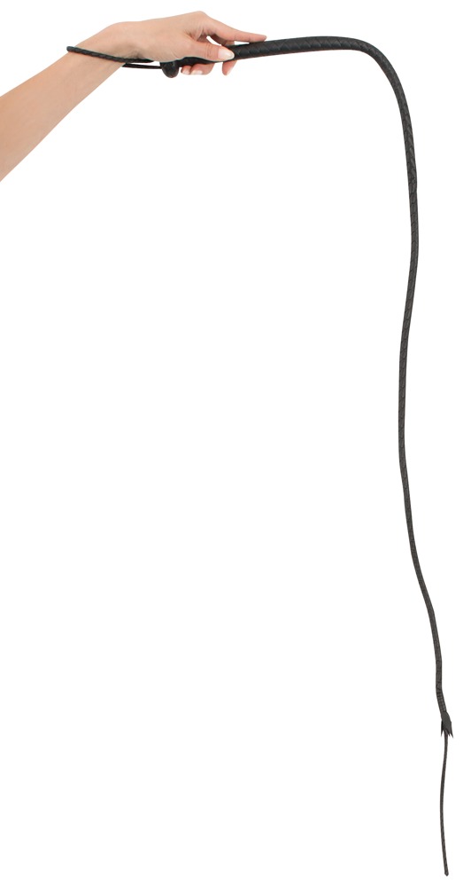 LE SINGLE TAIL